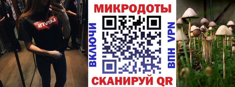 Галлюциногенные грибы Magic Shrooms  мега как войти  Щёкино 